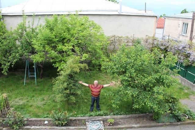 Guesthouse Natali Telavi Eksteriør bilde