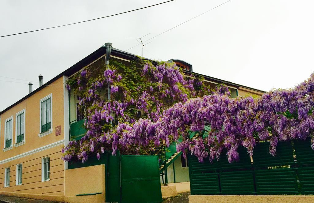 Guesthouse Natali Telavi Eksteriør bilde